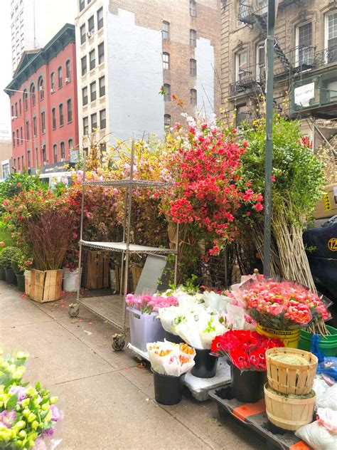 Floral Adventure: New York City Flower District – Golden Flowers