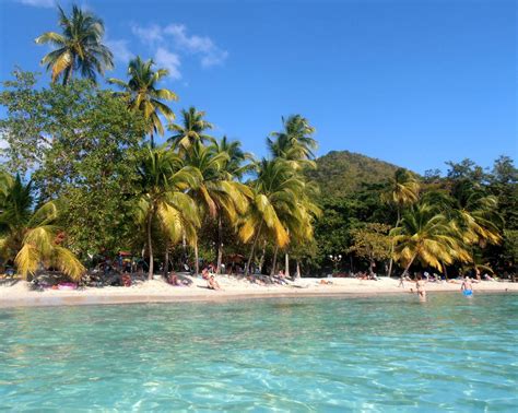 Top Des Plus Belles Plages De Martinique Martinique Paysage Plage