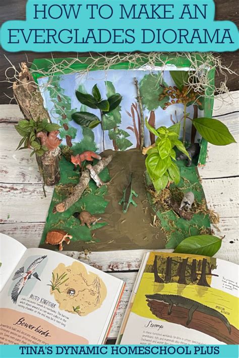 How to Make An Everglades Diorama: Explore the Wild Wetlands