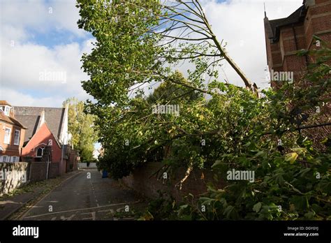 St Jude Storm A Fallen Tree Lies In The Road At The Shrine Of St Jude Faversham Kent Stock