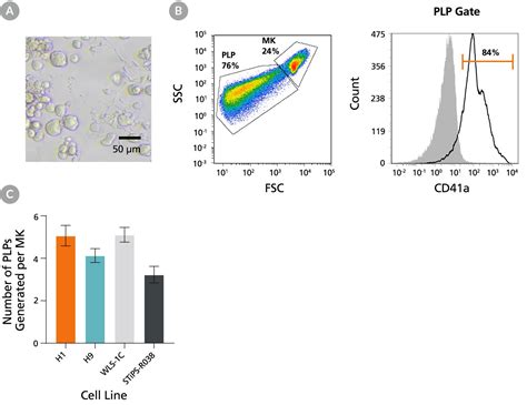 STEMdiff Megakaryocyte Kit STEMCELL Technologies