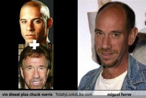 Funny Look Alikes 40 Pics