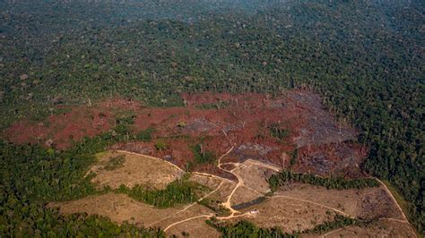 Un 20 del territorio brasileño sufre sequía severa o extrema