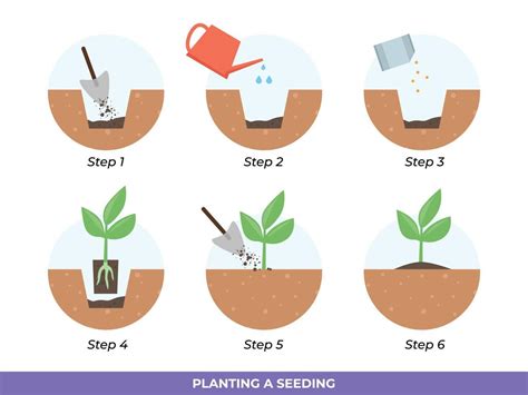 How To Up Pot Seedlings Back Gardener