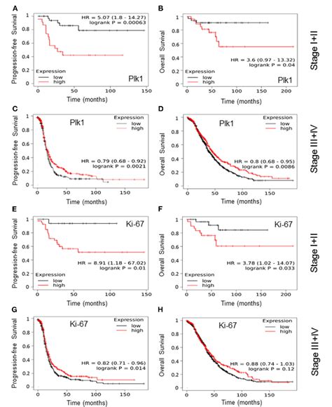 Figure From The Prognostic Relevance Of The Proliferation Markers Ki