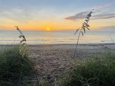 Check local beach advisories before you swim