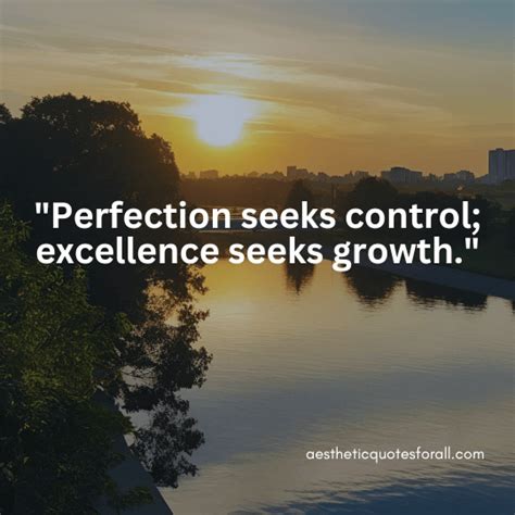 captivating quotes  perfection