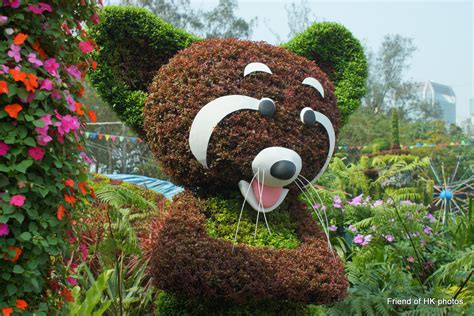 Photographic Wildlife Stories In Uk Hong Kong Annual Hong Kong Flower Show