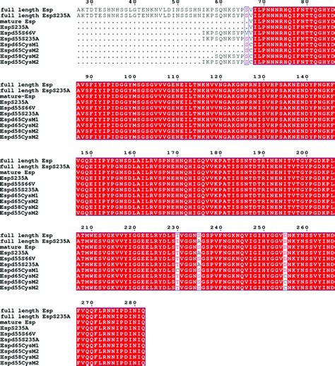 (IUCr) Structural insights into the role of the N-terminus in the