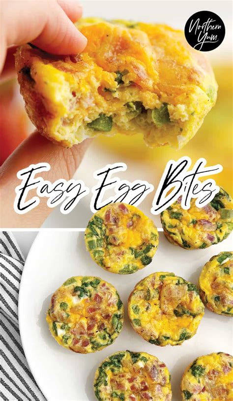 Easy Egg Bites Muffin Tin Recipe