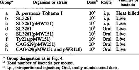 Mouse Immunization Protocols Download Table