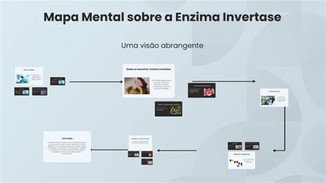 Mapa Mental Sobre A Enzima Invertase By Clara Goulart Gumerato On Prezi