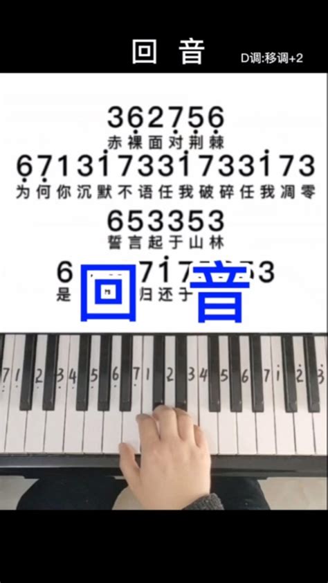 《回音》适合初学者的钢琴简谱，零基础学钢琴，成人学钢琴，钢琴教学。 腾讯视频