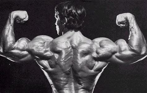 Arnold Schwarzenegger Back Muscles