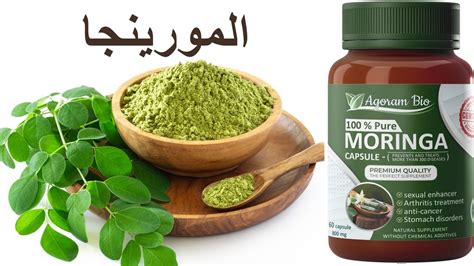 فوائد المورينجا والطريقة الصحيحة لاستعمال المورينجا Moringa Youtube