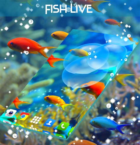 Fish Live Wallpaper APK for Android Download