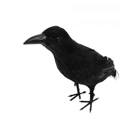 small crow  production