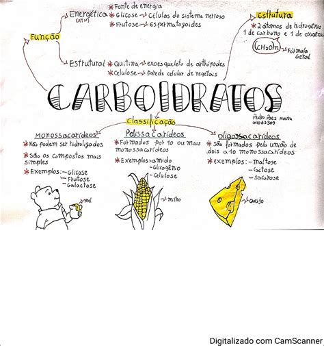 Mapas Mentais Sobre Carboidratos Study Maps