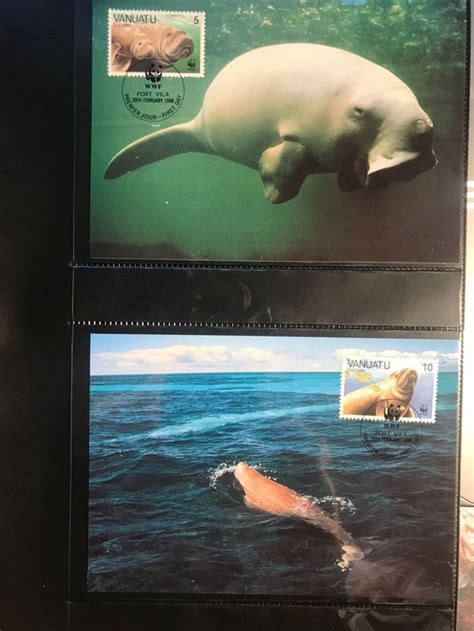 WWF Vanuatu 1988 Satz Dugong Seekuh Maximumkarten Kaufen Auf Ricardo