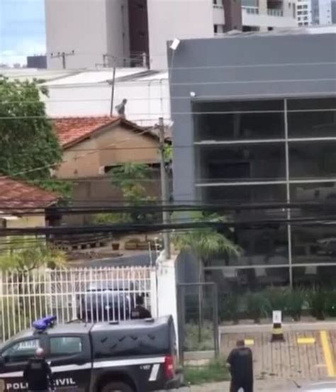 Vídeo Homem Tenta Fugir Da Polícia Pulando Telhados E é Preso Mato