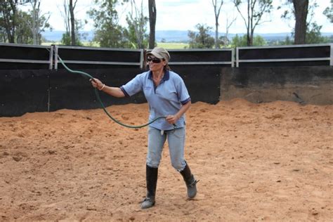 D955 Australian Horse Academy