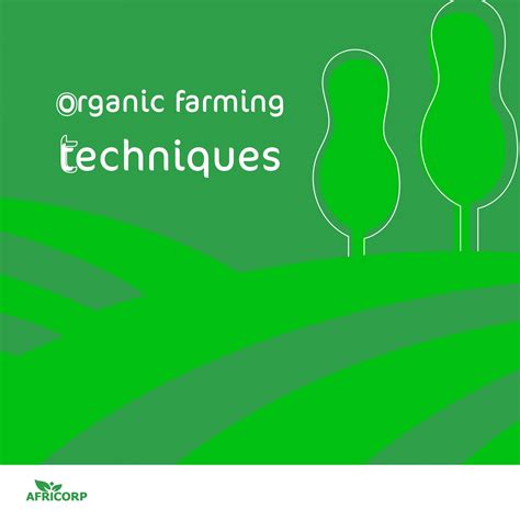 Organic farming techniques – Africorp International