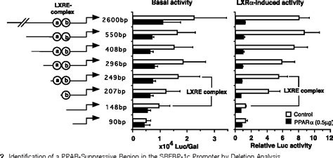 Figure 2 From Cross Talk Between Peroxisome Proliferator Activated