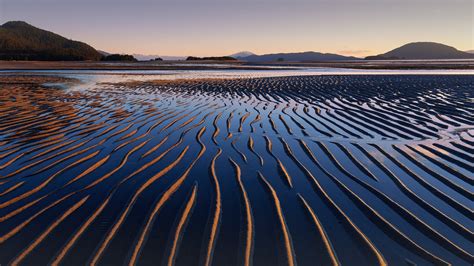 Beach Landscape USA Trees Sky Mountains Nordic Landscapes Sand