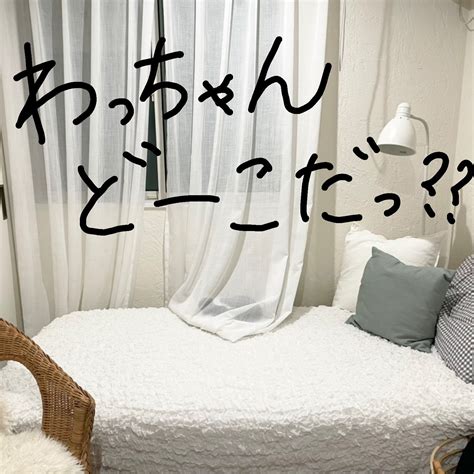 【わさび日記】かくれんぼ。 インテリアと暮らし。ときどき猫。