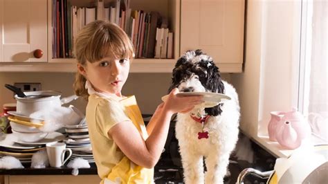 Pros Y Contras De Tener Una Mascota En Casa