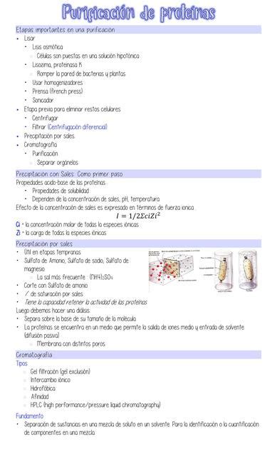 Purificación de proteínas Carolina Arenas uDocz