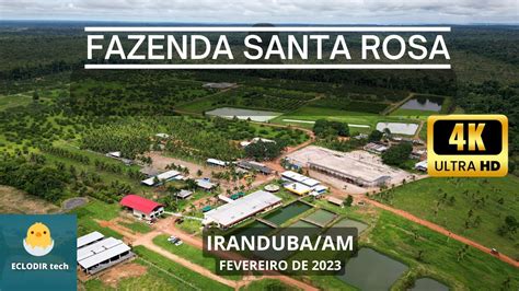 FAZENDA SANTA ROSA IRANDUBA AMAZONAS Fazendasantarosa Iranduba