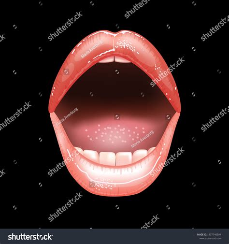 Shining Beautiful Female Nude Lips Colored Stock Vector Royalty Free