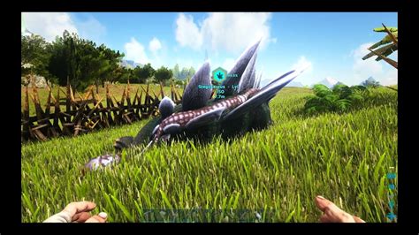 Taming A High Level Stego Ark Survival Evolved Lost Island No