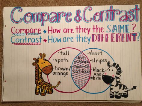 Compare And Contrast Poster On The Floor With Zebra Giraffe And Snake