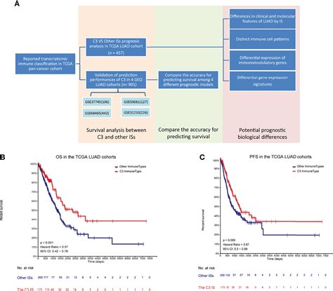 Frontiers Immune Subtypes In Luad Identify Novel Tumor