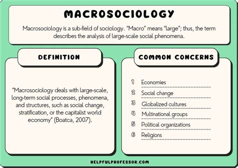 Macrosociology: Definition and 6 Great Examples (2024)