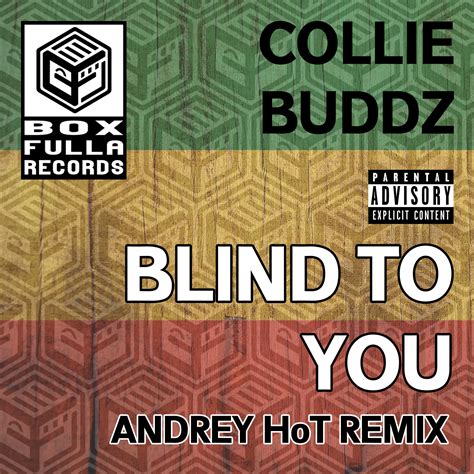 Collie Buddz Blind To You [andrey Hot Remix] [free Download] By