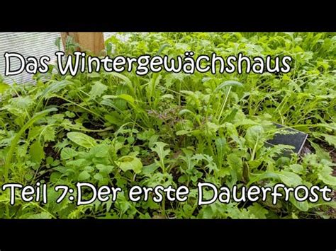 Das Wintergewächshaus Teil 7 Der erste Dauerfrost YouTube