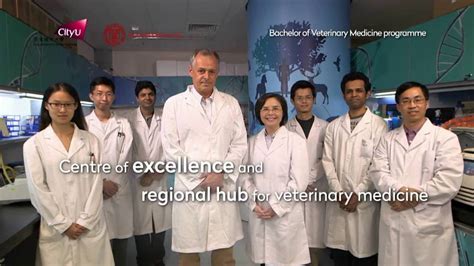 Cityu Collaborates With Cornell To Offer First Veterinary Medicine