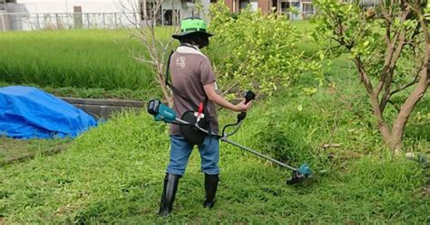 【除草剤撒き方解説】草刈りから解放される！除草剤の効果的な撒き方 Kusakaroo｜くさかるー