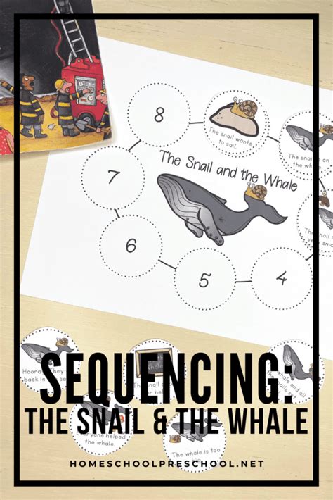 Printable The Snail and the Whale Sequencing Activity