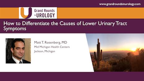 Matt T. Rosenberg | How to Differentiate the Causes of Lower Urinary ...