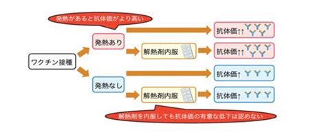 新型コロナウイルスワクチン2回接種後の発熱は、より強い抗体反応と関連 研究成果 九州大学（kyushu University）