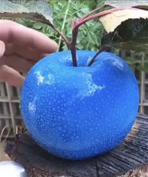 A Blue Apple Sitting On Top Of A Tree Stump