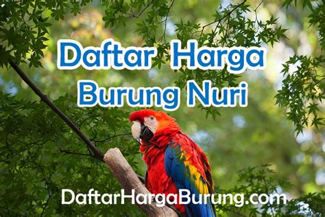 Daftar Harga Burung Nuri Semua Jenis Terbaru