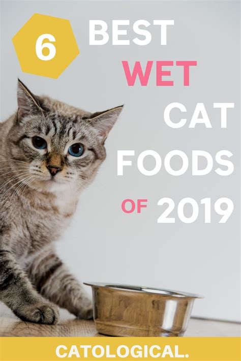 The 6 Best Wet Cat Food Brands With Ratings And Reviews For 2019 Cat