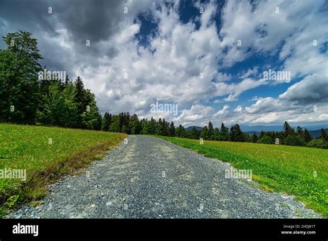 gravel path, gravel paths Stock Photo - Alamy