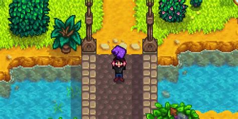 What Did You Do With The Mayors Shorts In Stardew Valley