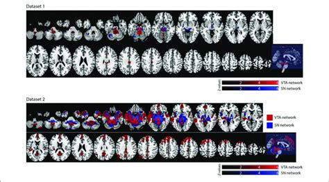 Significant Vta And Sn Functional Connectivity Maps P